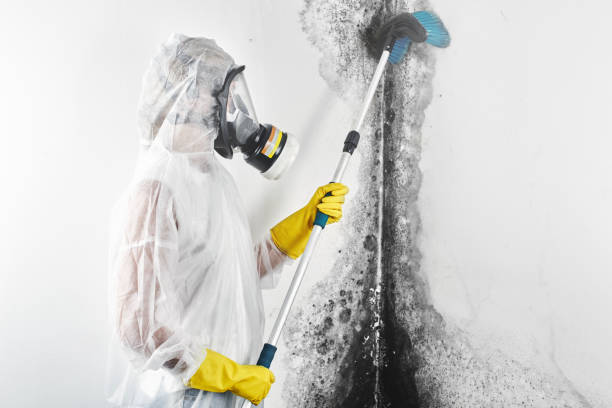 Trusted Linganore, MD Water damage restoration Experts